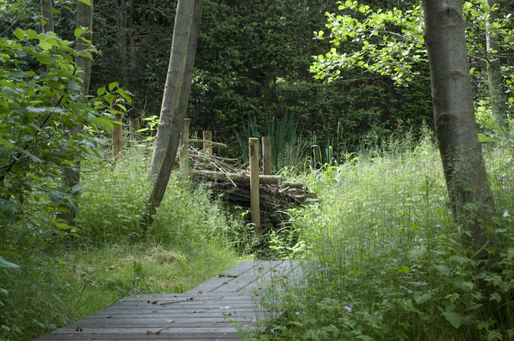 Natuurtuin met waterloop te Schilde
