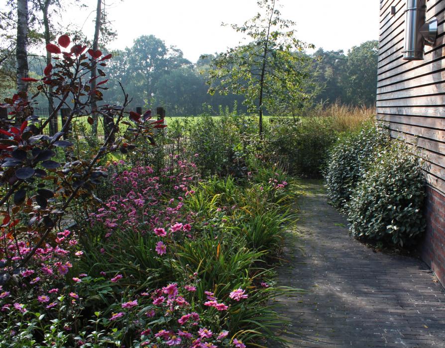 Bloemrijke bostuin te Schilde